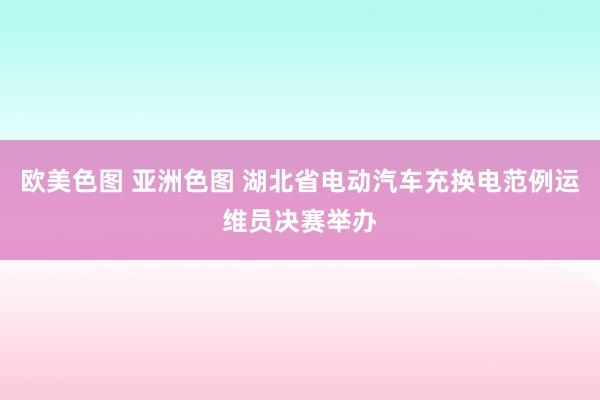 欧美色图 亚洲色图 湖北省电动汽车充换电范例运维员决赛举办