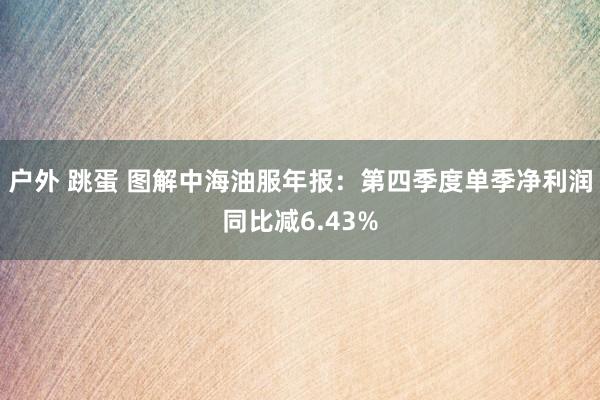 户外 跳蛋 图解中海油服年报：第四季度单季净利润同比减6.43%