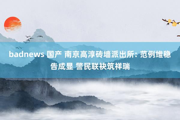 badnews 国产 南京高淳砖墙派出所: 范例维稳告成显 警民联袂筑祥瑞