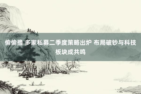 偷偷撸 多家私募二季度策略出炉 布局破钞与科技板块成共鸣